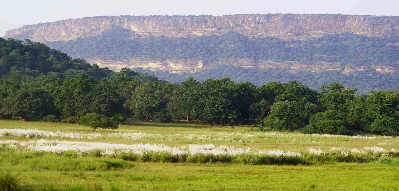 Geographical location and landscape of Bandhavgarh National Park Madhya Pradesh